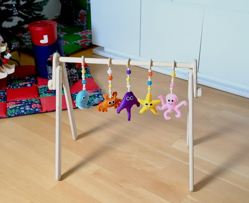 Montessori Baby Gym & Hanging Toys Set | Wooden Play Gym for Babies
