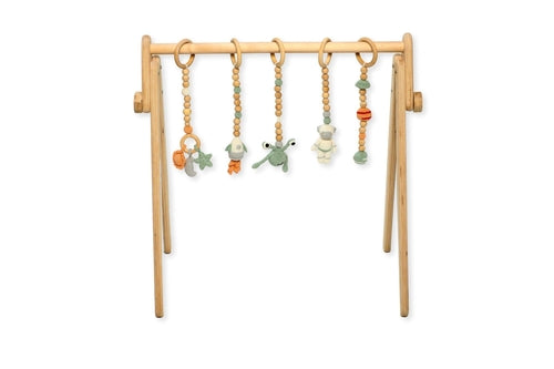 Montessori Baby Gym & Hanging Toys Set | Wooden Play Gym for Babies