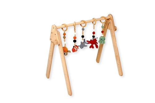 Montessori Baby Gym & Hanging Toys Set | Wooden Play Gym for Babies